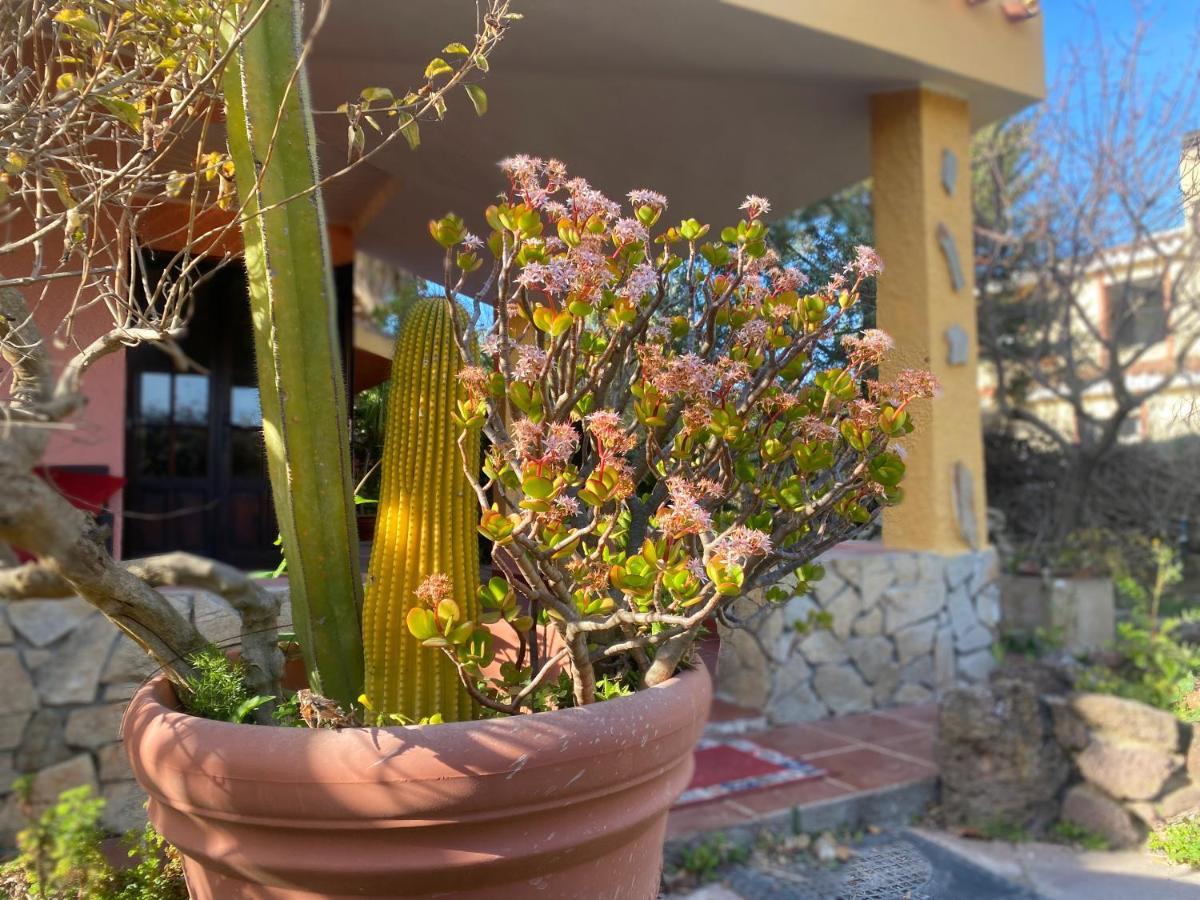Lovely Home 5 Min Walk To The Beach, 3 Bedrooms Ample Outdoor Relax And Wifi Капитана Екстериор снимка